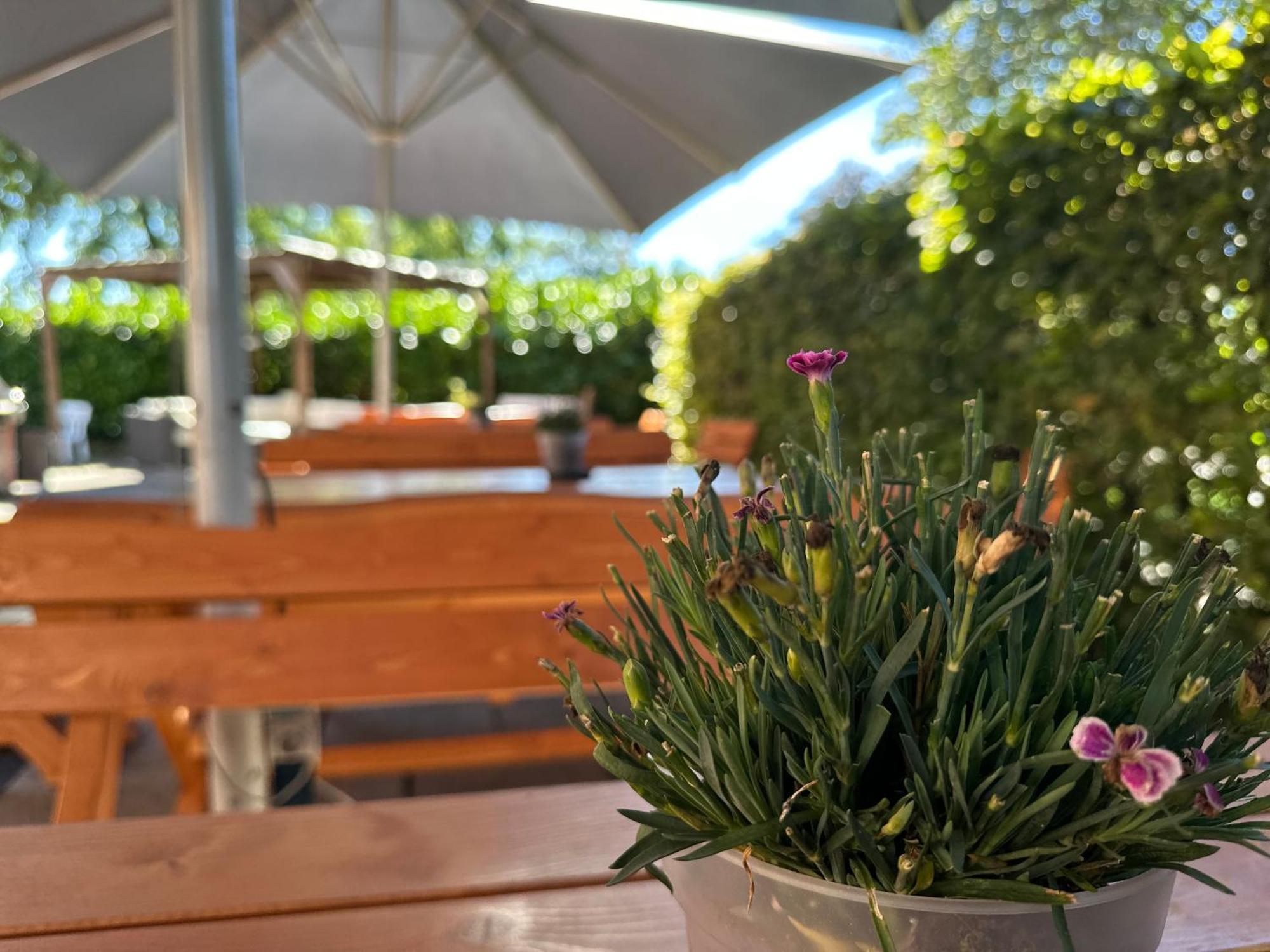 Hotel Schultheiss Hameln Χάμελν Εξωτερικό φωτογραφία
